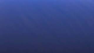 0107.avi