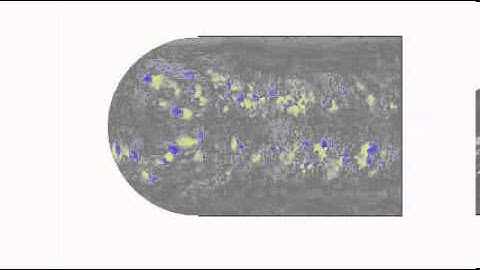 Evolution of Magnetism on the Sun