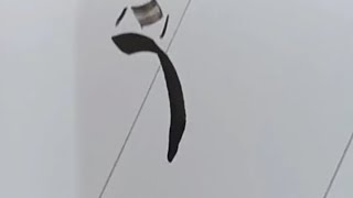                   ر                                        سمعها