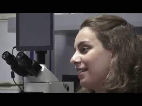 ანა მდივანი