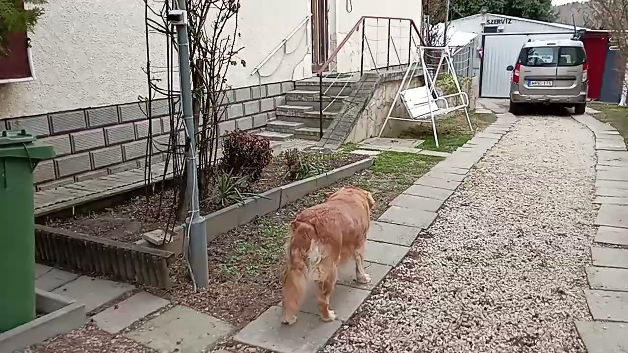 02 19 VID 20260219 091406