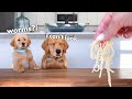 Dog Reviews Food With Son | Tucker Taste Test 22