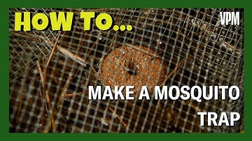 How to make a SIMPLE mosquito trap for your garden