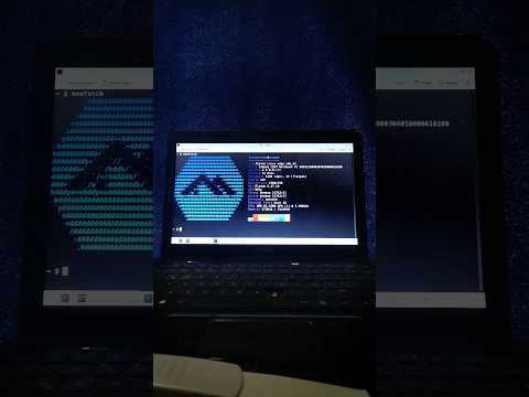 Alpine Linux con