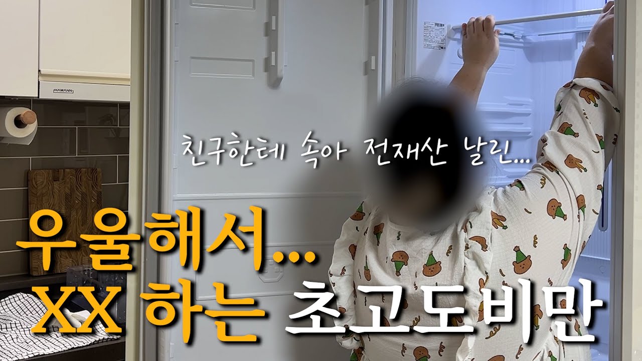 방황하다 돌아온 고도비만 다이어터 최근 근황 / 냉장고 정리 / 팬트리 만들기 / 생일 브이로그