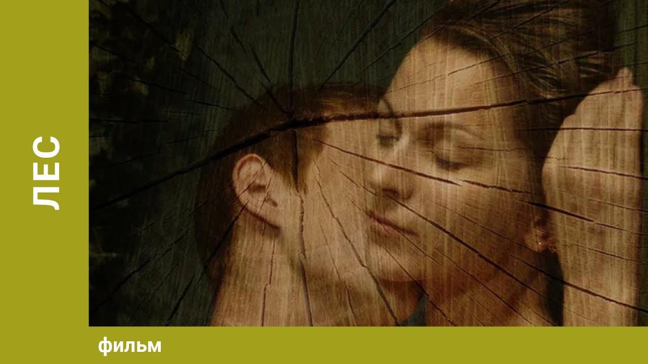 Лес. Драма. Лучшие фильмы