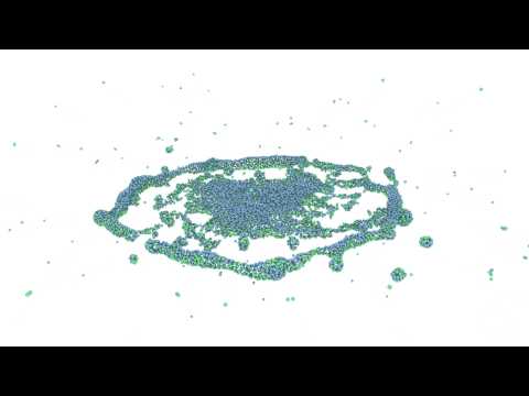 Fluid Particles in Zero-G