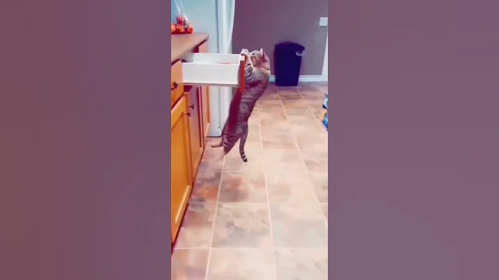 Wee meme compilation #wee #meme