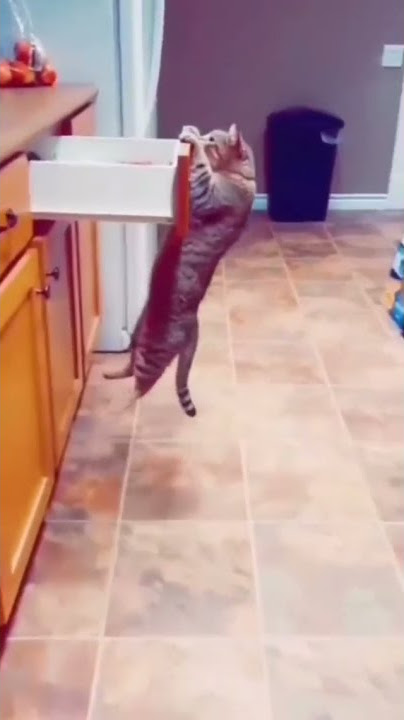 Wee meme compilation #wee #meme