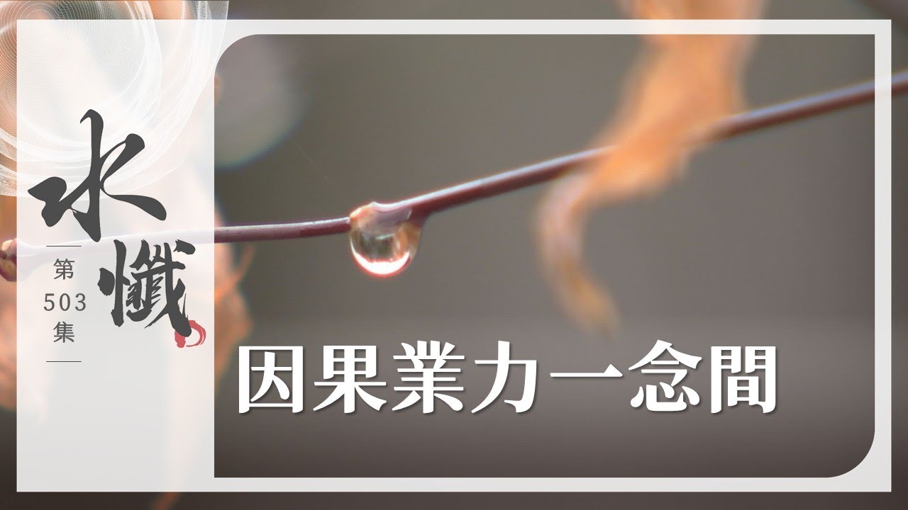 【法譬如水】 因果業力一念間 - 第503集｜水懺｜慈悲三昧水懺｜ 20260128