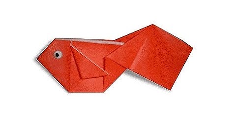 Cách gấp, xếp con Cá Vàng bằng giấy origami - Video hướng dẫn xếp hình