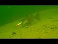 Underwater Walleye Trolling Bites, Strikes & Follows 2019