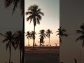 Waiting for summer hits different…🎧 Full vibe on the channel #lofi #chill #music #relax