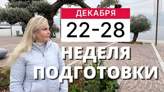 ГОРОСКОП НА НЕДЕЛЮ С 22 ПО 28 ДЕКАБРЯ 2025 ГОДА ОТ VENUSLIFE 