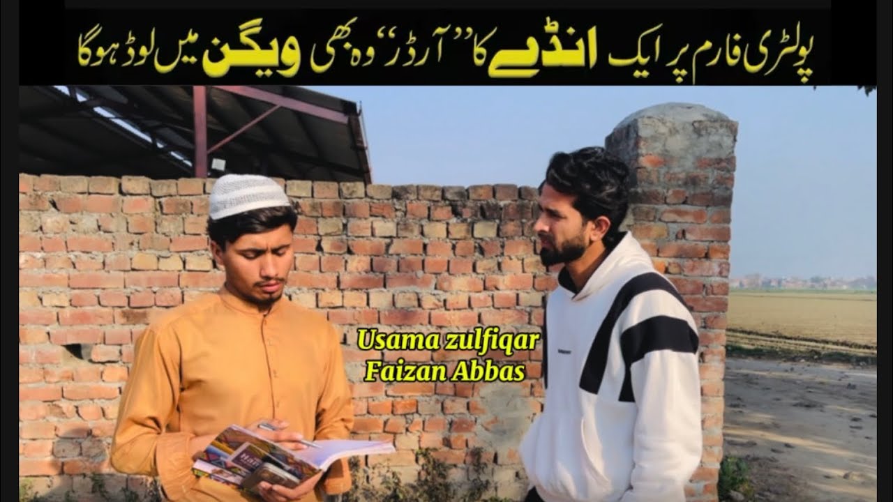 Comedy on a poultry farm Usama and faizan funny video 🎭💫