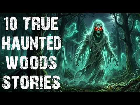 10 True Disturbing Haunted Woods Scary Stories | Real Horror Stories To Fall Asleep To