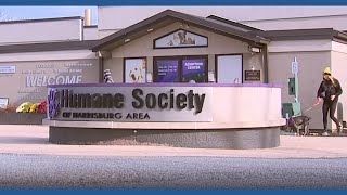 Humane Society of Harrisburg asking for donations ahead of winter