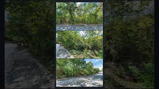 Wooded Land Gives Room To Build Near Fayetteville And Shops Wooded Land Gives Room To Build Near Fayetteville And Shops