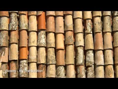 Biowire - It's The Solution