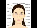 Parts Of Head Name Youtube Viral English