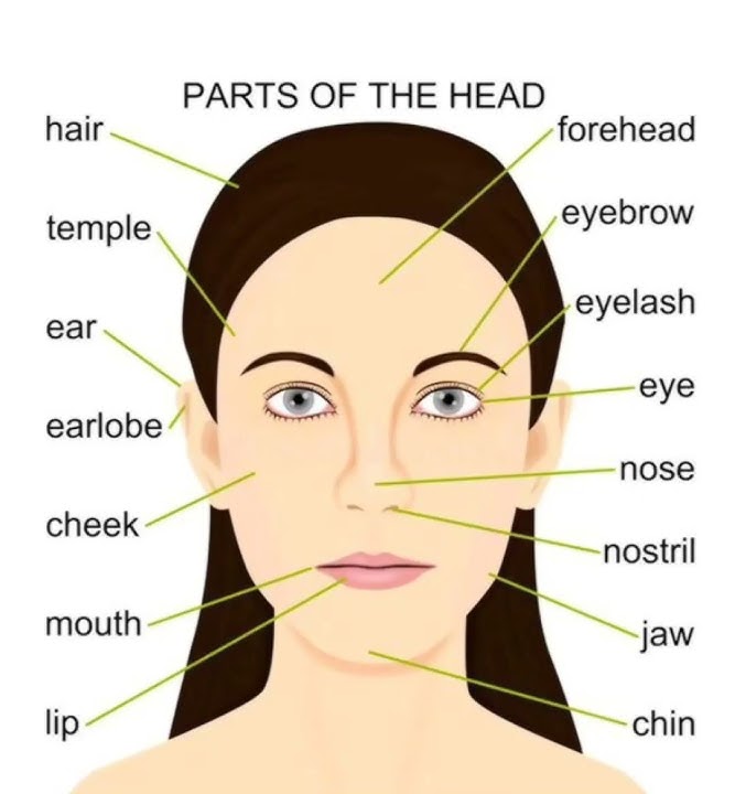 parts of head name#youtube #viral #english