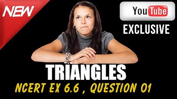 CBSE Class 10 Maths l Triangles l NCERT Ex 6.6 , Q1