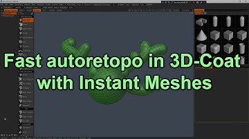 Instant meshes in 3D-Coat. Fast Autoretopology