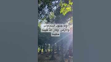 الآية 4 من سورة الفتح