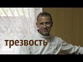 ВСЯ ПРАВДА ПРО АЛКОГОЛЬ | КАК ЛЮДЕЙ ПРИУЧАЮТ БУХАТЬ ПО ПРАЗДНИКАМ | ВЛАДИМИР ФАХРЕЕВ | ТРЕЗВОСТЬ