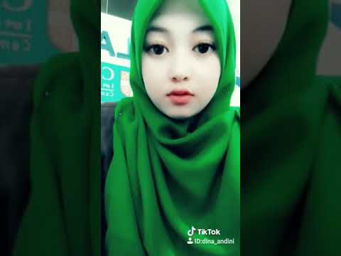 Tiktok dina andini