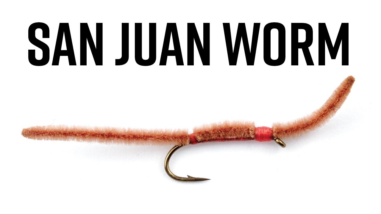 San Juan Worm 