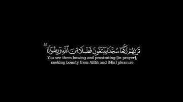 محمد رسول الله/#ياسرالدوسري #تلاوة_خاشعة #سورة_ الفتح #القرآن_الكريم 🎧🎙️