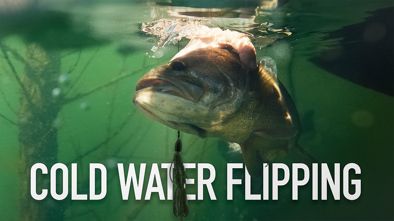 Time To Ditch Livescope!! Dominate With This Simple Power Fishing Technique!!