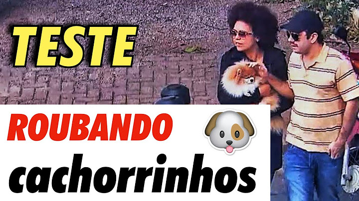 ANIMAIS DE ESTIMAÇÃO ROUBADOS - TESTES DO CORONATO
