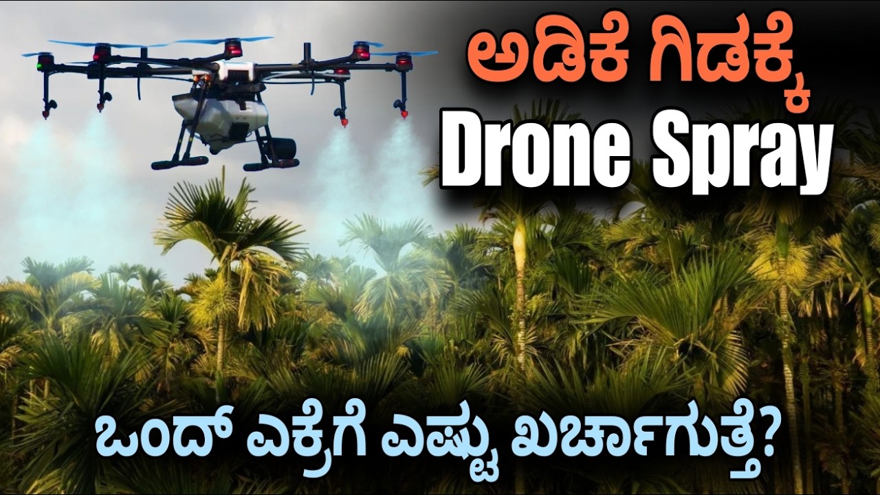 ನಮ್ ಊರಲ್ಲಿ First Time Drone Spray!🌴 ಇಷ್ಟು ಕಡಿಮೆ ಖರ್ಚು ಆದ್ರೆ ಆರಾಮಾಗಿ ಹೊಡಿಸ್ಬೋದು.🌾
