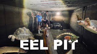 Eel Pit Guys Full House Tour Cowturtle