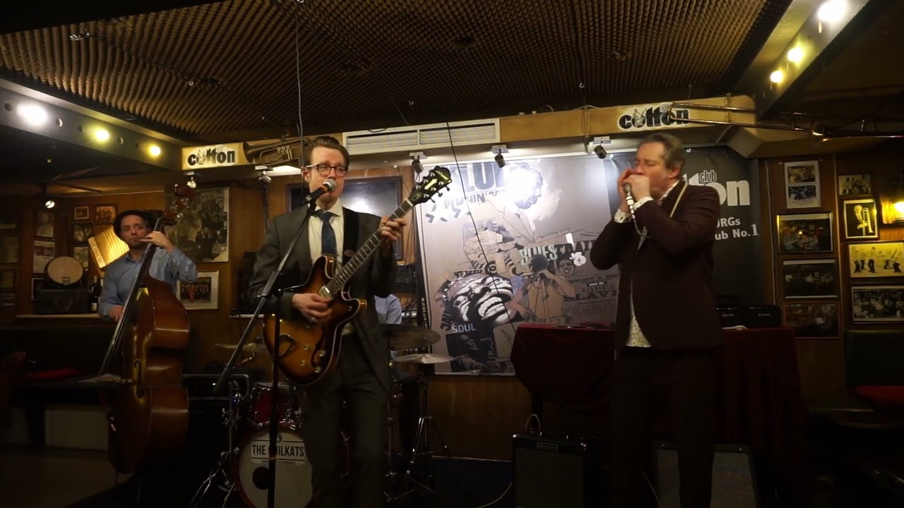 The Chilkats - Vienna Calling (Cotton Club Hamburg 2022)