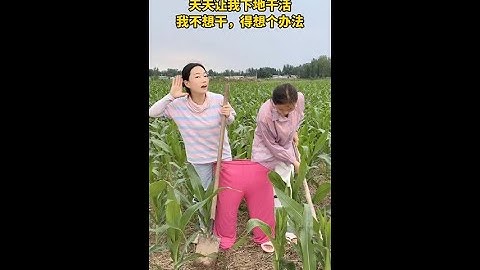 Let me work in the field every day, but I don