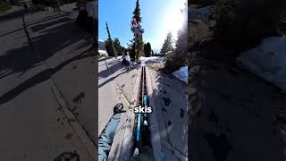 Climate Change Made Them Do THIS!😳❄️