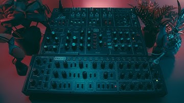 Behringer Pro 1, Model D & Cat - Deep House Performance