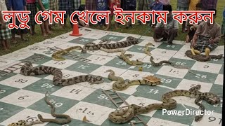 লুডু গেম খেলে 10 মিনিটে 500 ইনকাম #games #ludo #shorts  screenshot 4