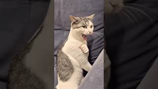 #риелтор #недвижимость #ИИвидео #RUZMOTION #тренды2026 #видеомаркетинг higgsfield