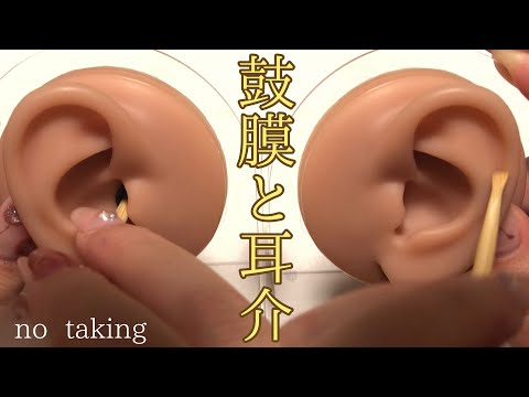 【番外編】鼓膜と耳介を耳かき【ASMR】