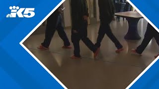 State department suspends intake at 2 juvenile rehab facilities in Washington