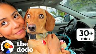 30 minutes most heartwarming foster adoption stories we