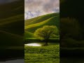 Quran Recitation with Urdu Translation | Understand the Words of Allah with Heart-Touching Meaning.