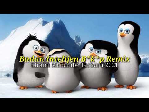 Badan Intelijen B*k*p Remix Efraim Manambe Terbaru 2021