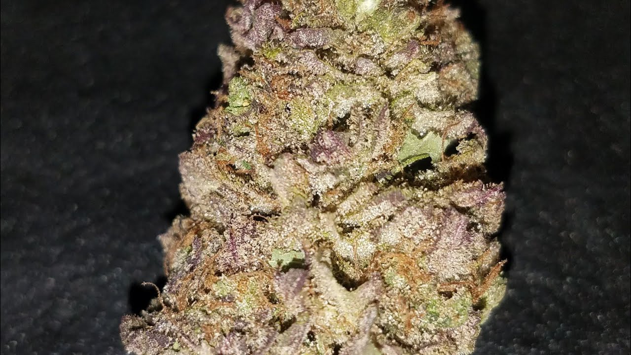 Close Up Alaskan Thunder F**k