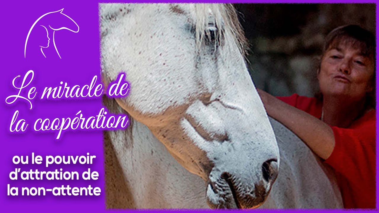 Le miracle de la coopération... ou le pouvoir d'attraction de la non-attente