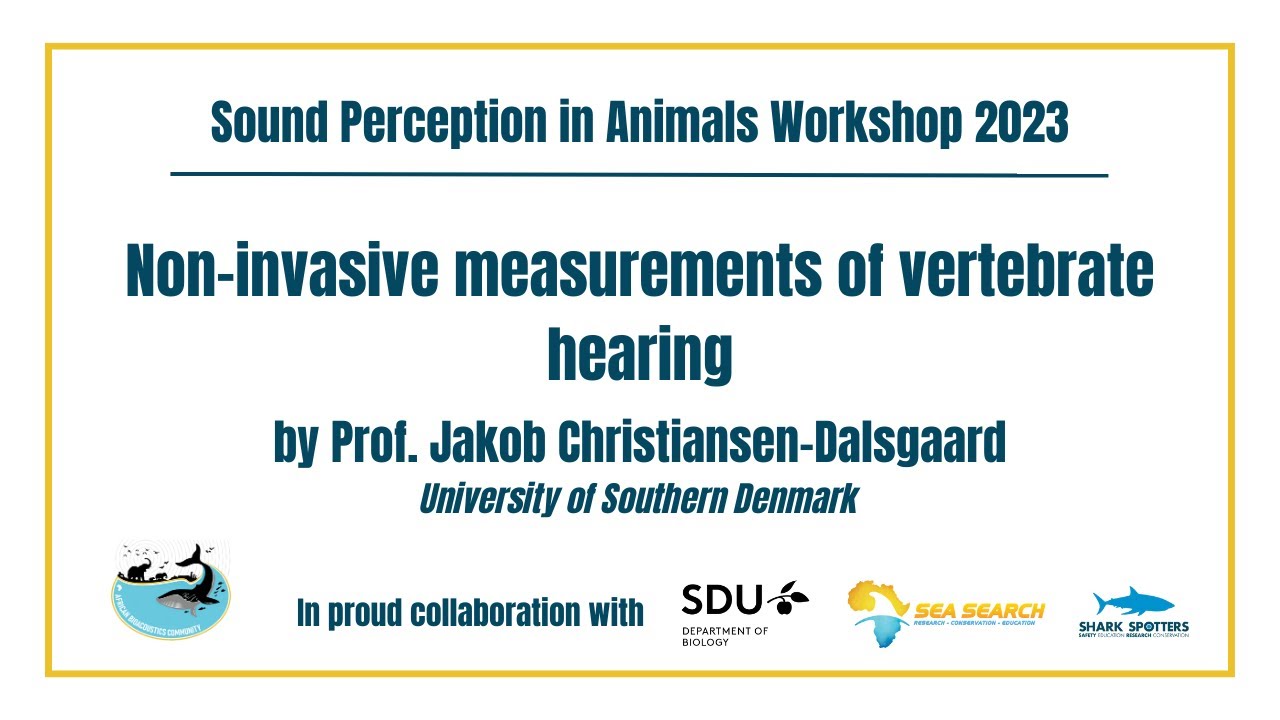 [SPAW2023] Non-invasive measurements of vertebrate hearing by Prof. Jakob Christiansen-Dalsgaard